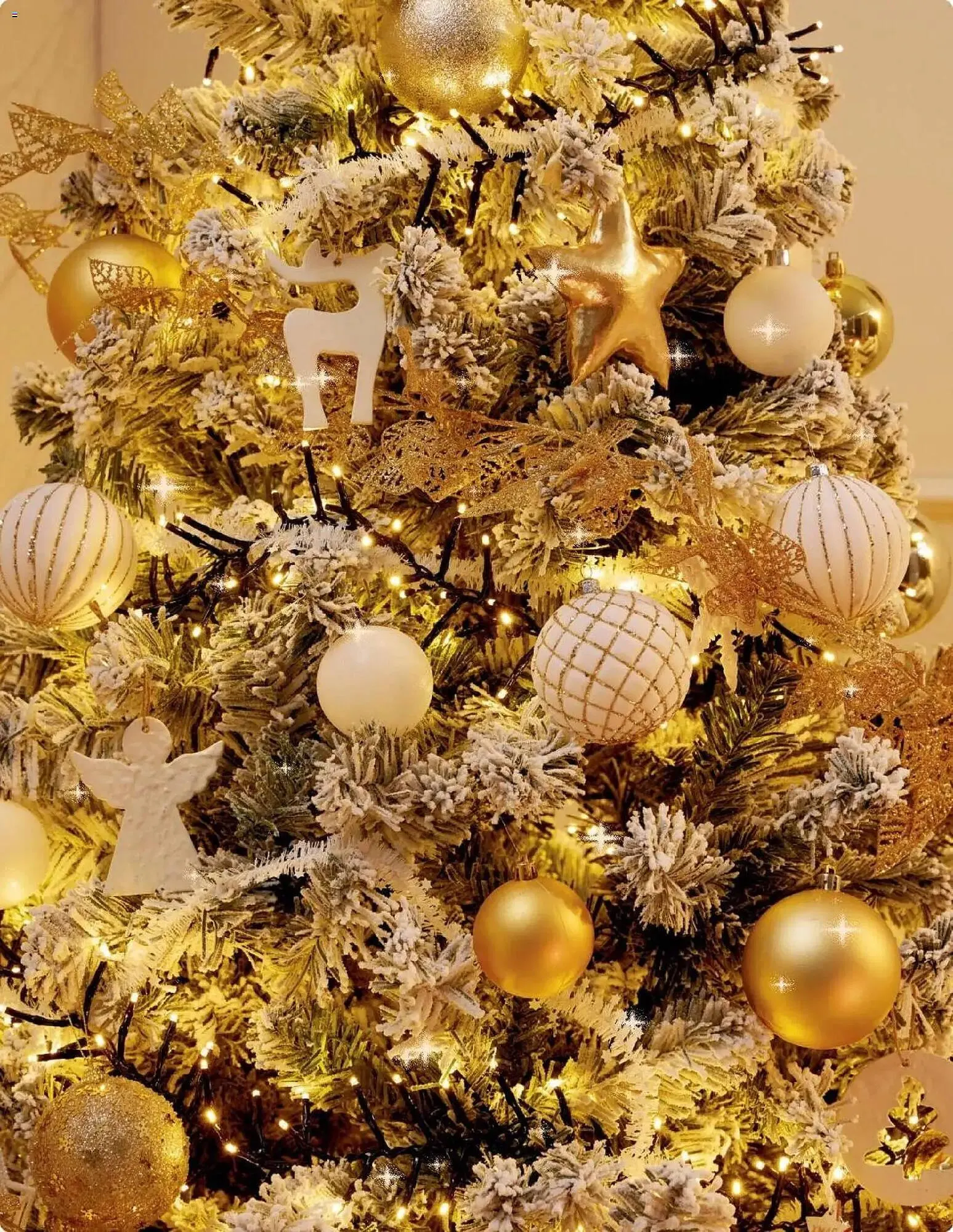 Catálogo de Catálogo Bauhaus 5 de noviembre al 24 de diciembre 2025 - Página 24