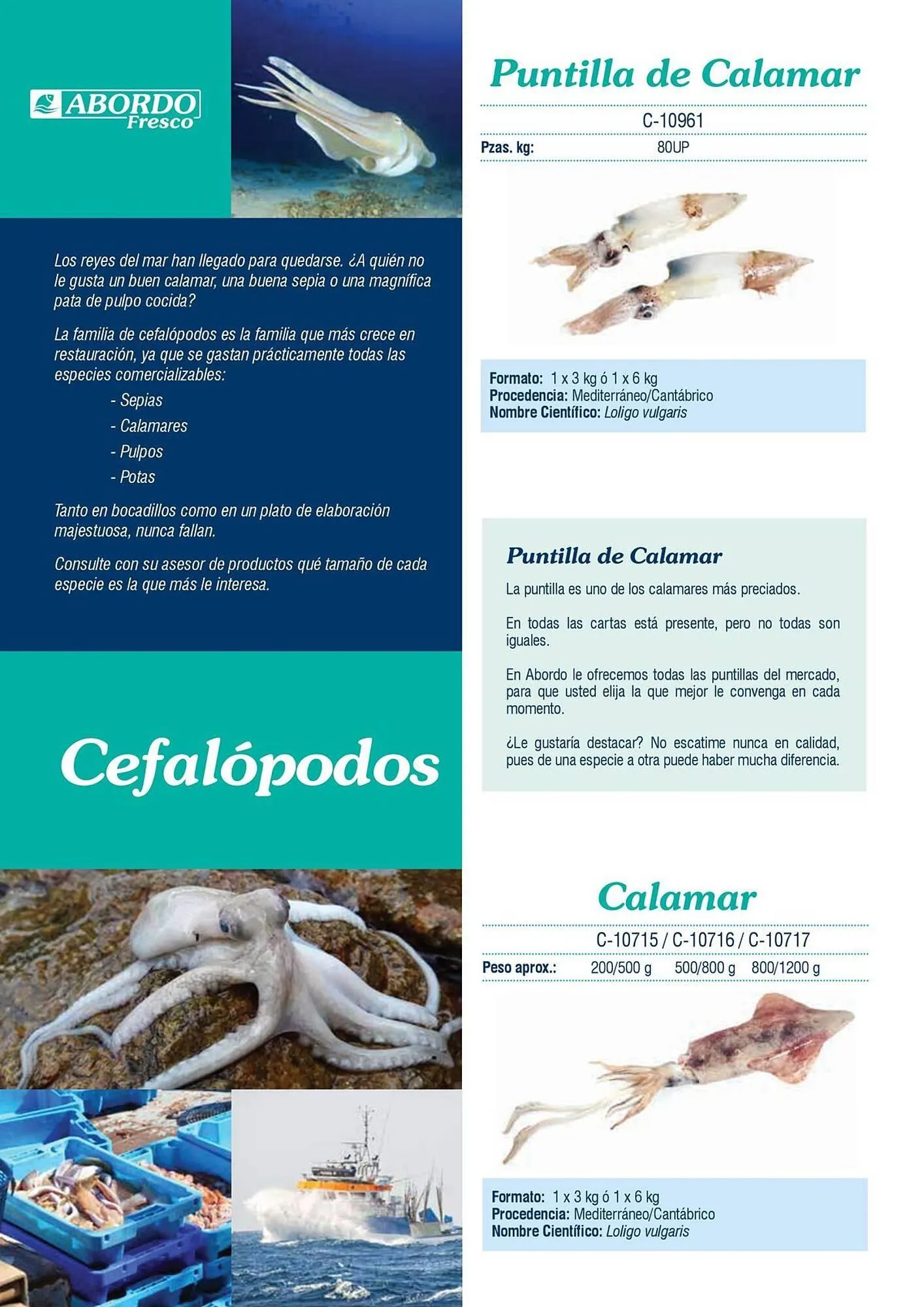 Catálogo de Folleto Abordo 5 de marzo al 30 de junio 2026 - Página 24