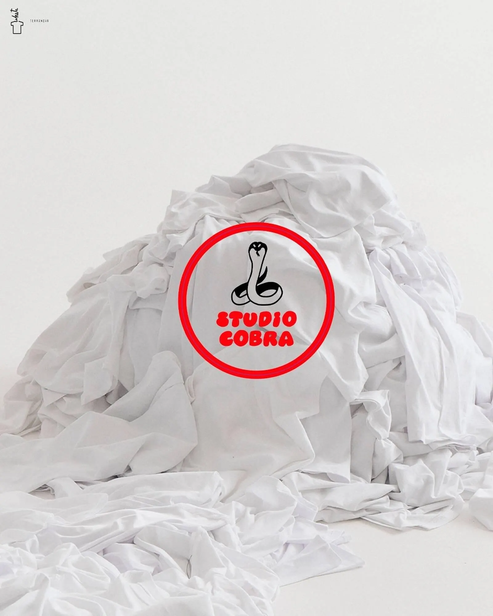 Catálogo de Folleto Terranova 30 de mayo al 12 de junio 2025 - Página 3