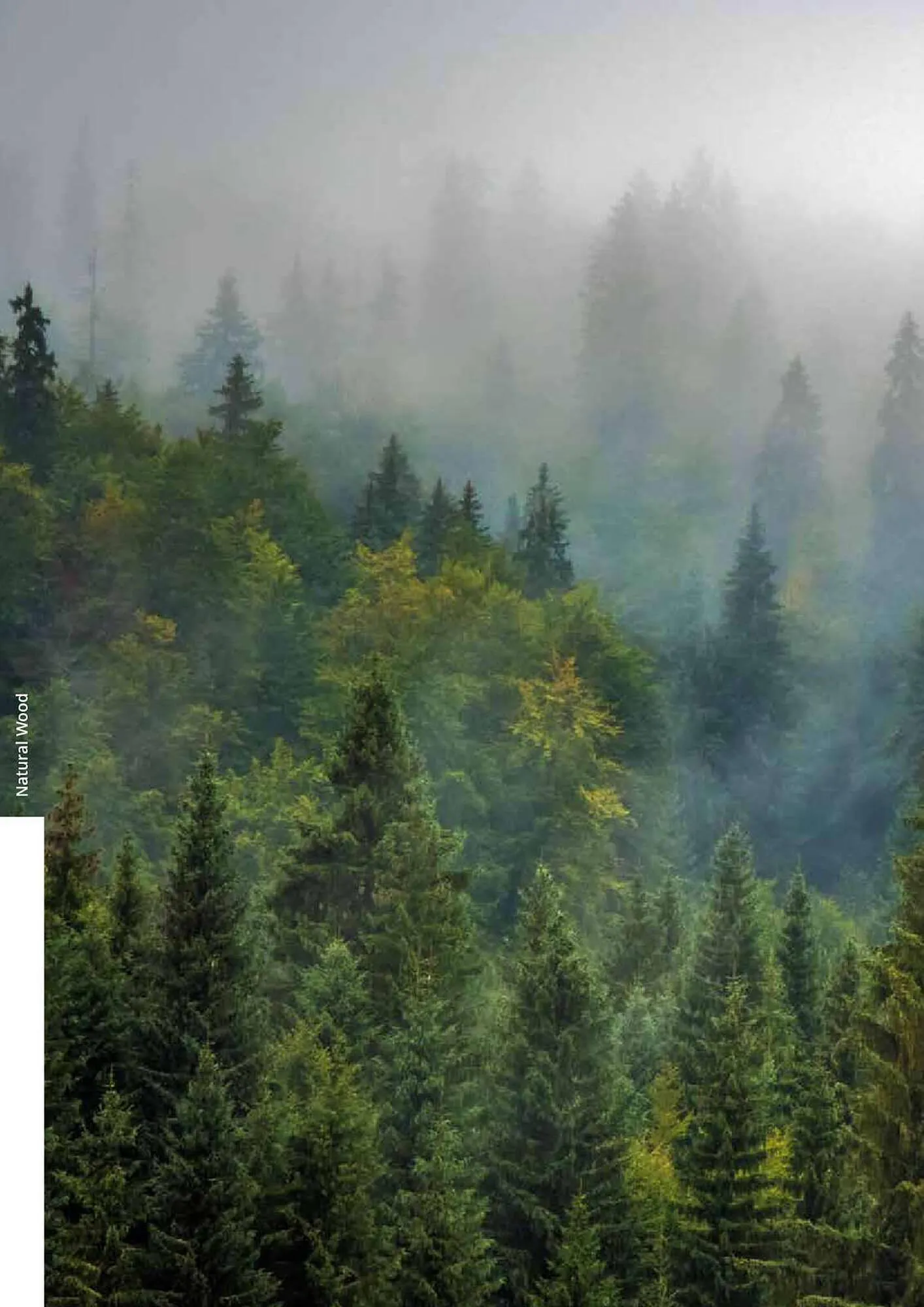 Catálogo de Folleto Porcelanosa 31 de marzo al 8 de febrero 2024 - Página 303