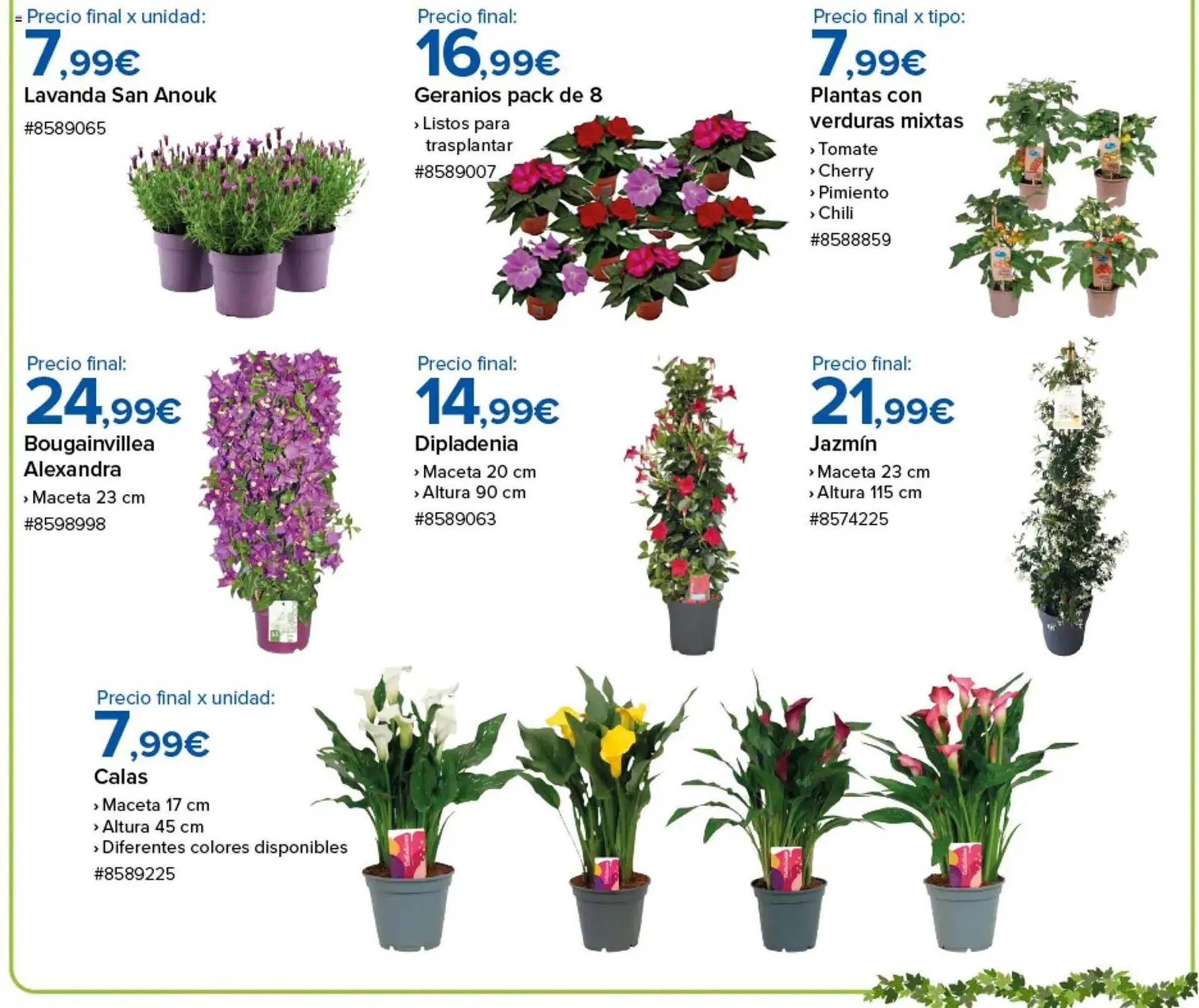 Catálogo de Catálogo Costco 10 de abril al 19 de abril 2026 - Página 6