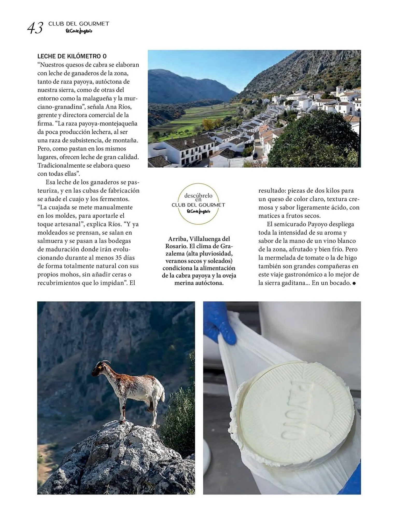 Catálogo de Catálogo El Corte Inglés 24 de marzo al 31 de mayo 2026 - Página 43