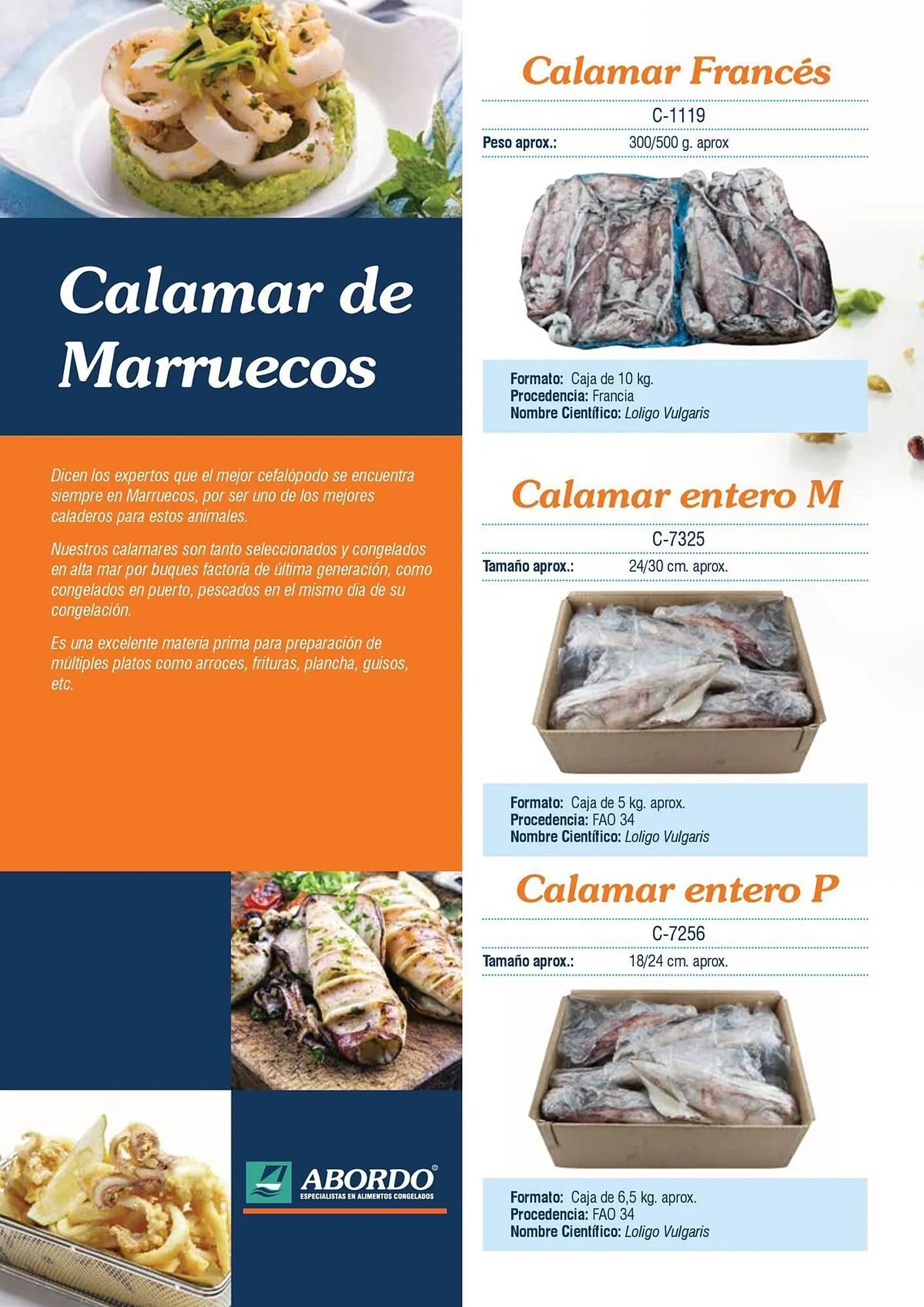 Catálogo de Folleto Abordo 5 de marzo al 30 de junio 2026 - Página 22