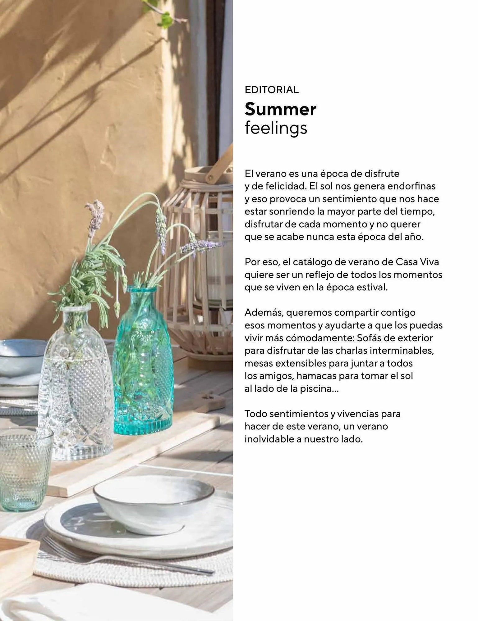 Catálogo de Folleto Casa Viva 25 de julio al 21 de septiembre 2023 - Página 2