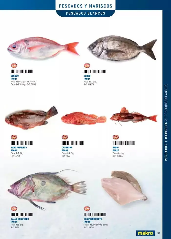 Catálogo de Especia Carta Canarias 8 de abril al 31 de diciembre 2025 - Página 37