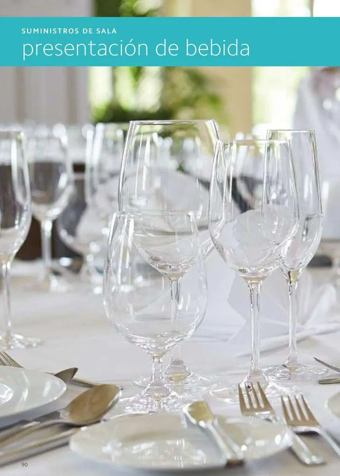 Catálogo de Equipamiento y suministros 23 de julio al 30 de noviembre 2024 - Página 90