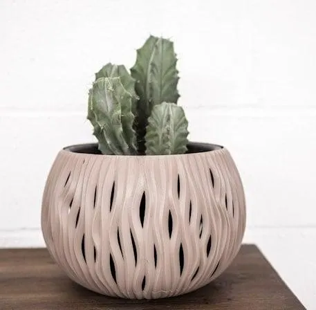 Mix de Cactus grande