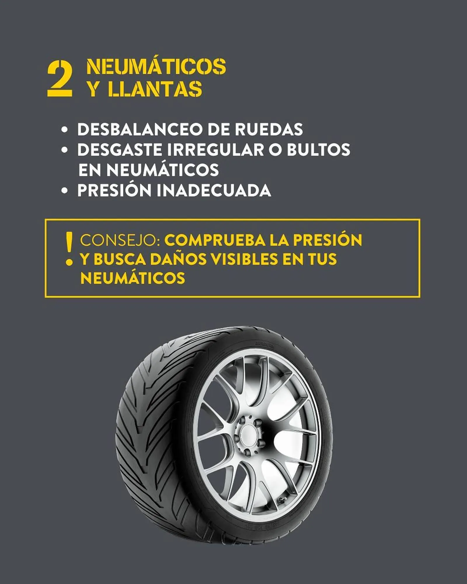 Catálogo de Folleto Rodi 28 de agosto al 11 de octubre 2025 - Página 3