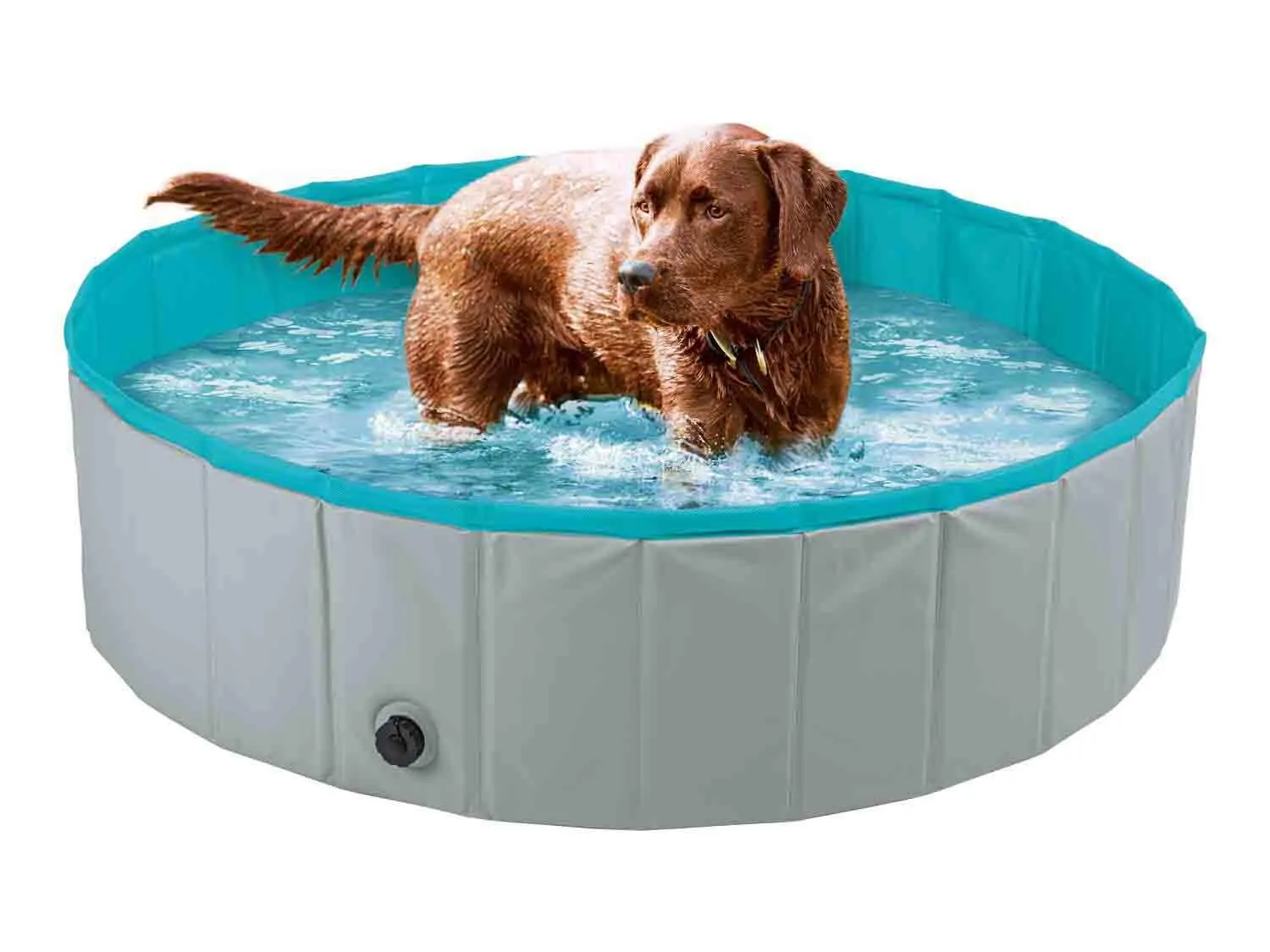 Piscina para perros 120 x 30 cm