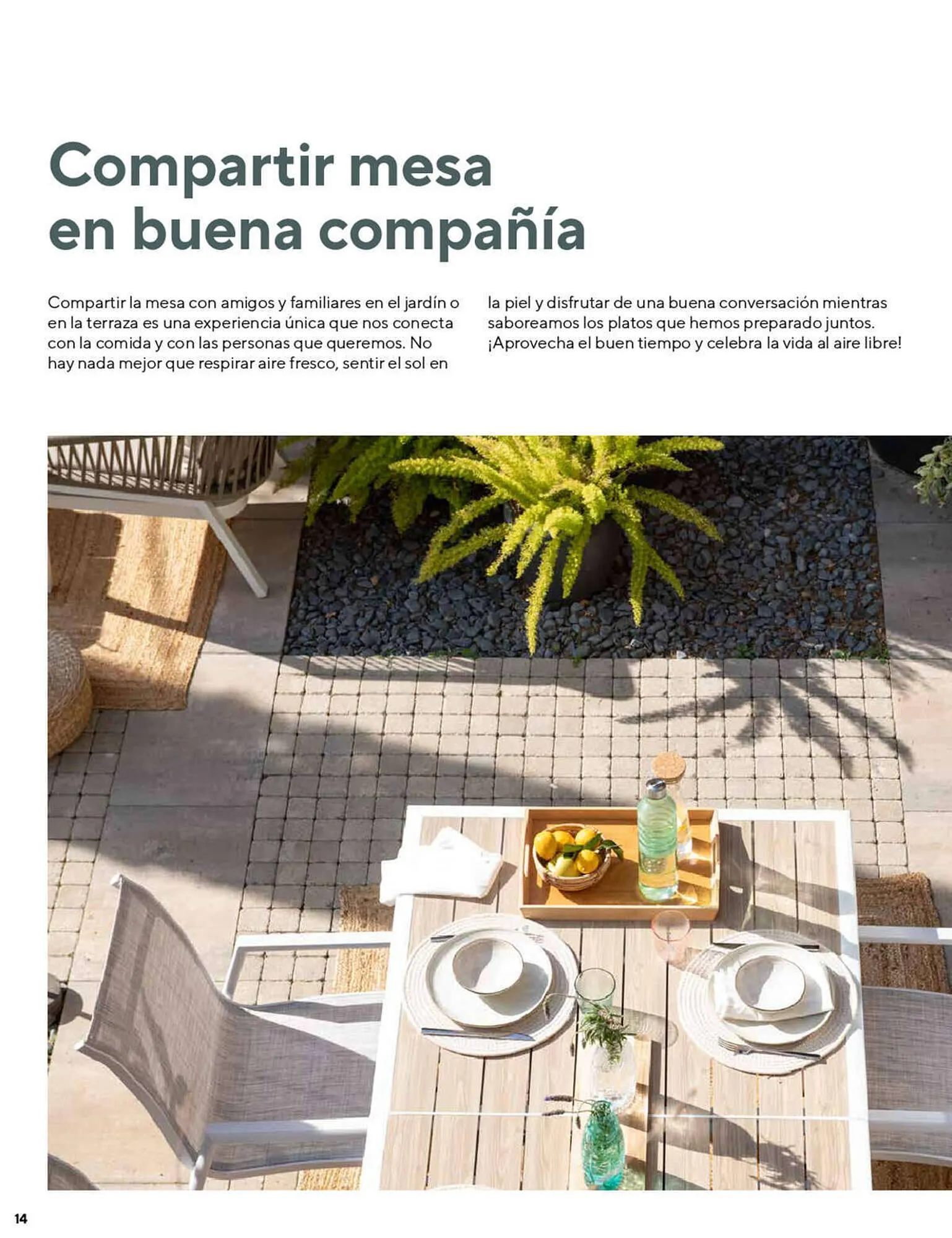 Catálogo de Folleto Casa Viva 1 de junio al 12 de julio 2023 - Página 14