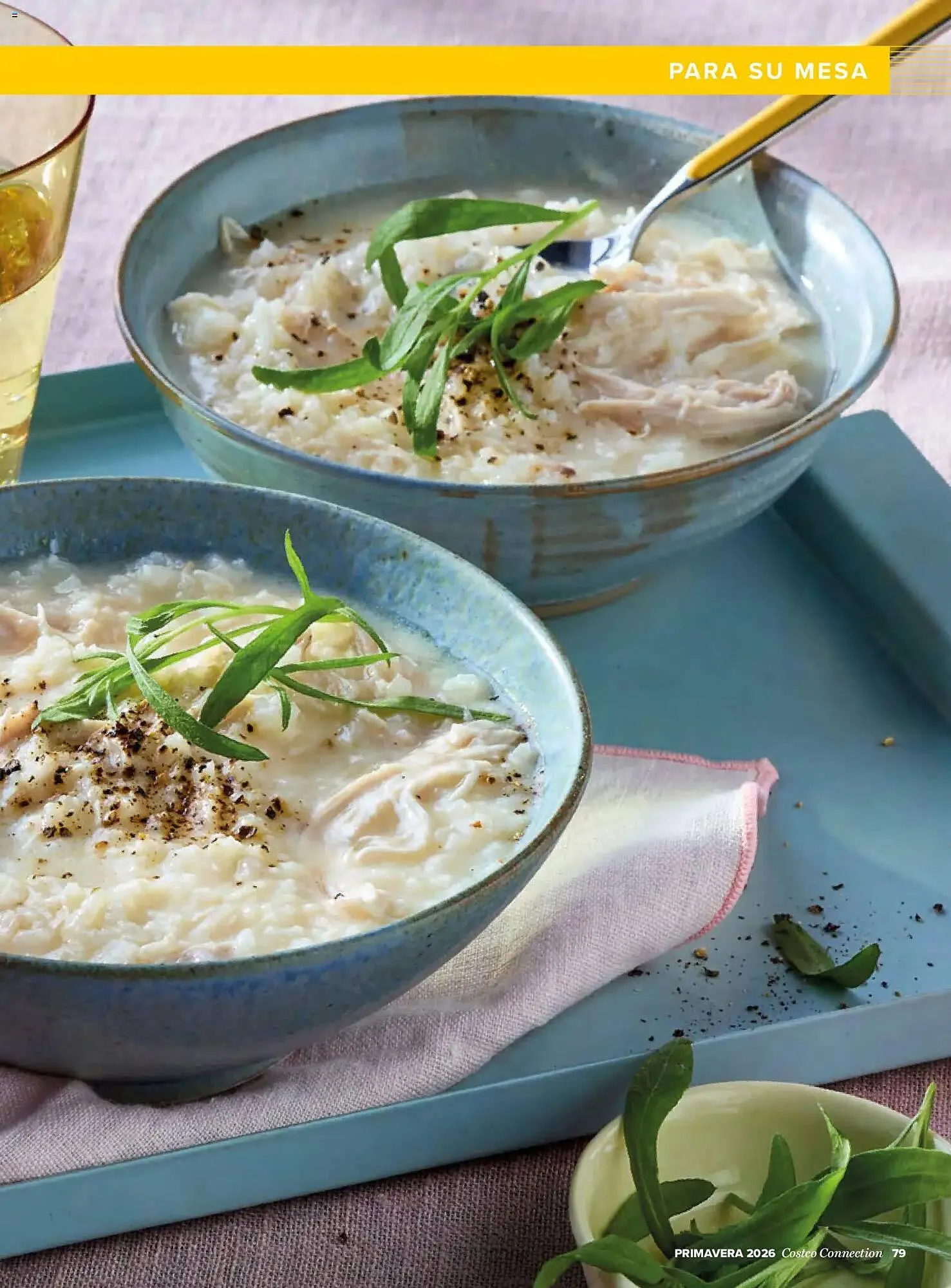 Catálogo de Catálogo Costco 19 de marzo al 31 de mayo 2026 - Página 79