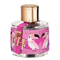 CH BIRDS OF PARADISE