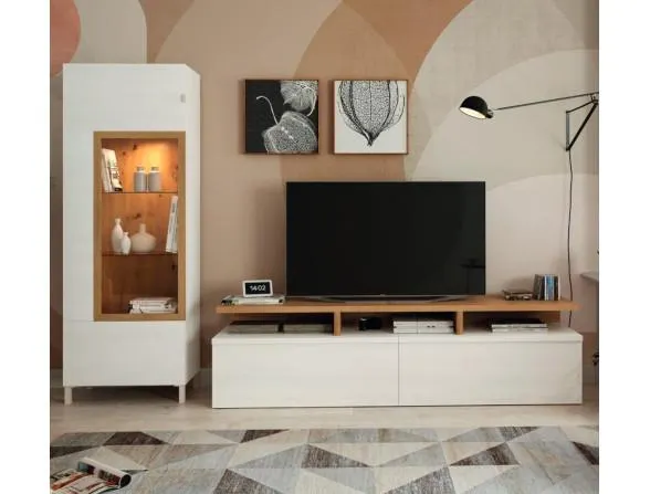 MUEBLE PARA SALON DRACO