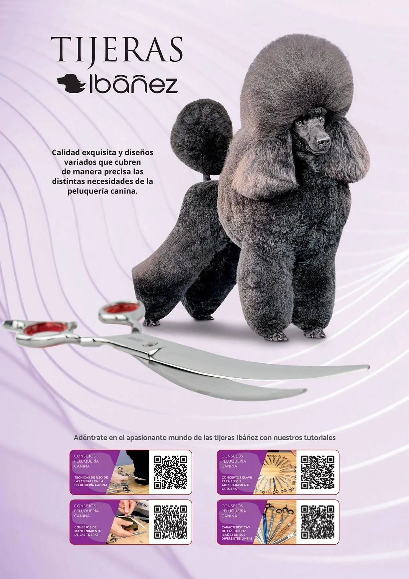 Catálogo de Folleto Setter Bakio 13 de junio al 31 de diciembre 2026 - Página 53