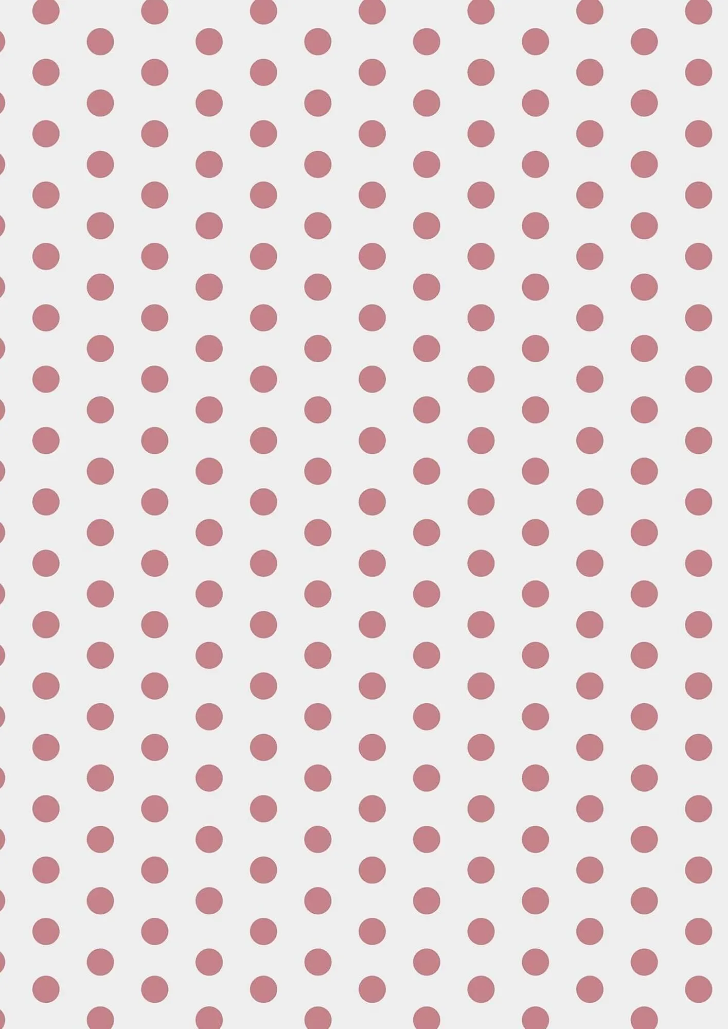 Catálogo de Folleto Abacus 10 de julio al 31 de diciembre 2025 - Página 51