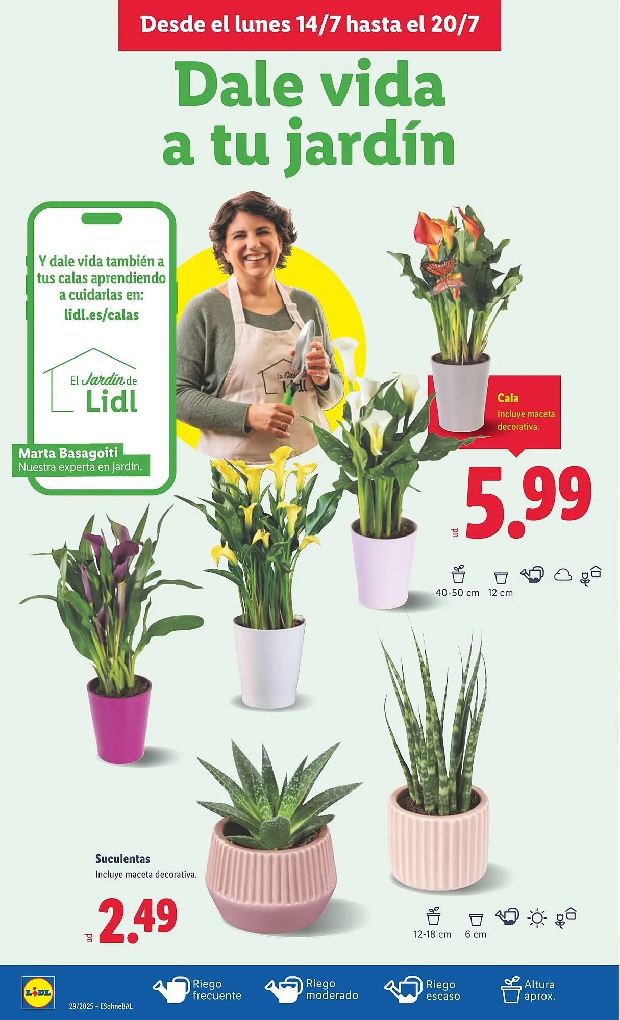 Catálogo de Folleto Lidl 14 de julio al 20 de julio 2025 - Página 24