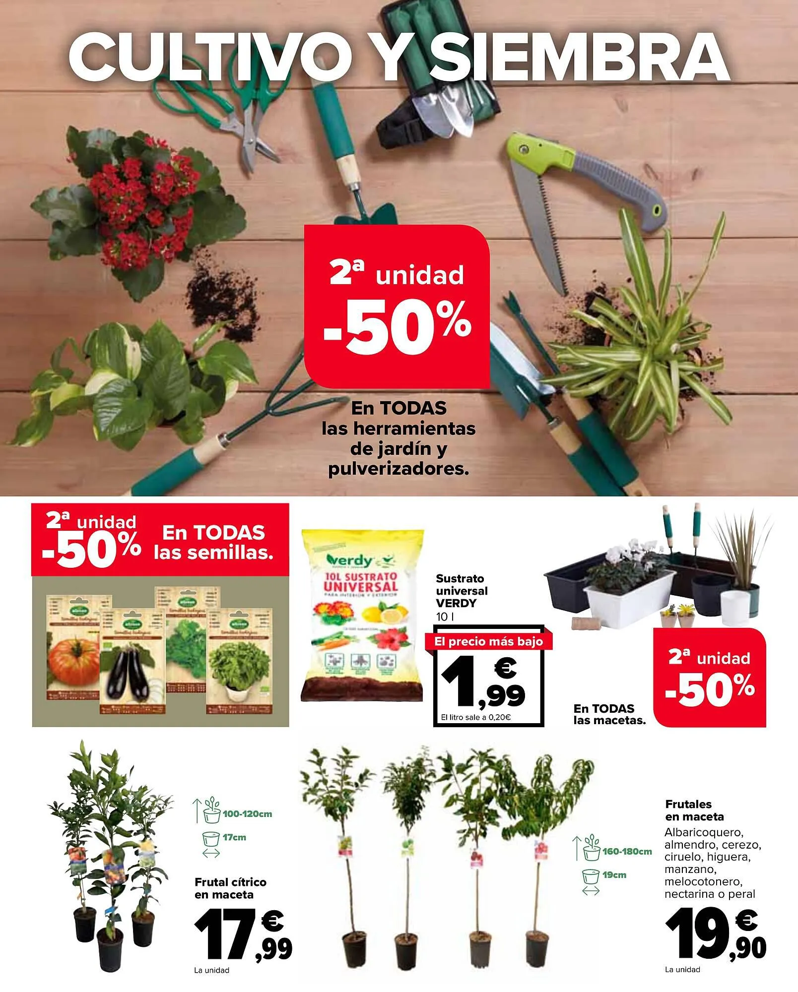 Catálogo de Folleto Carrefour 13 de febrero al 22 de febrero 2024 - Página 63