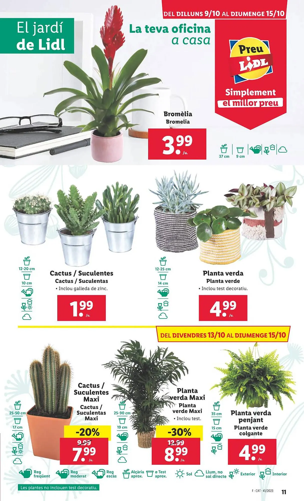 Catálogo de Folleto Lidl 2 de octubre al 16 de octubre 2023 - Página 31