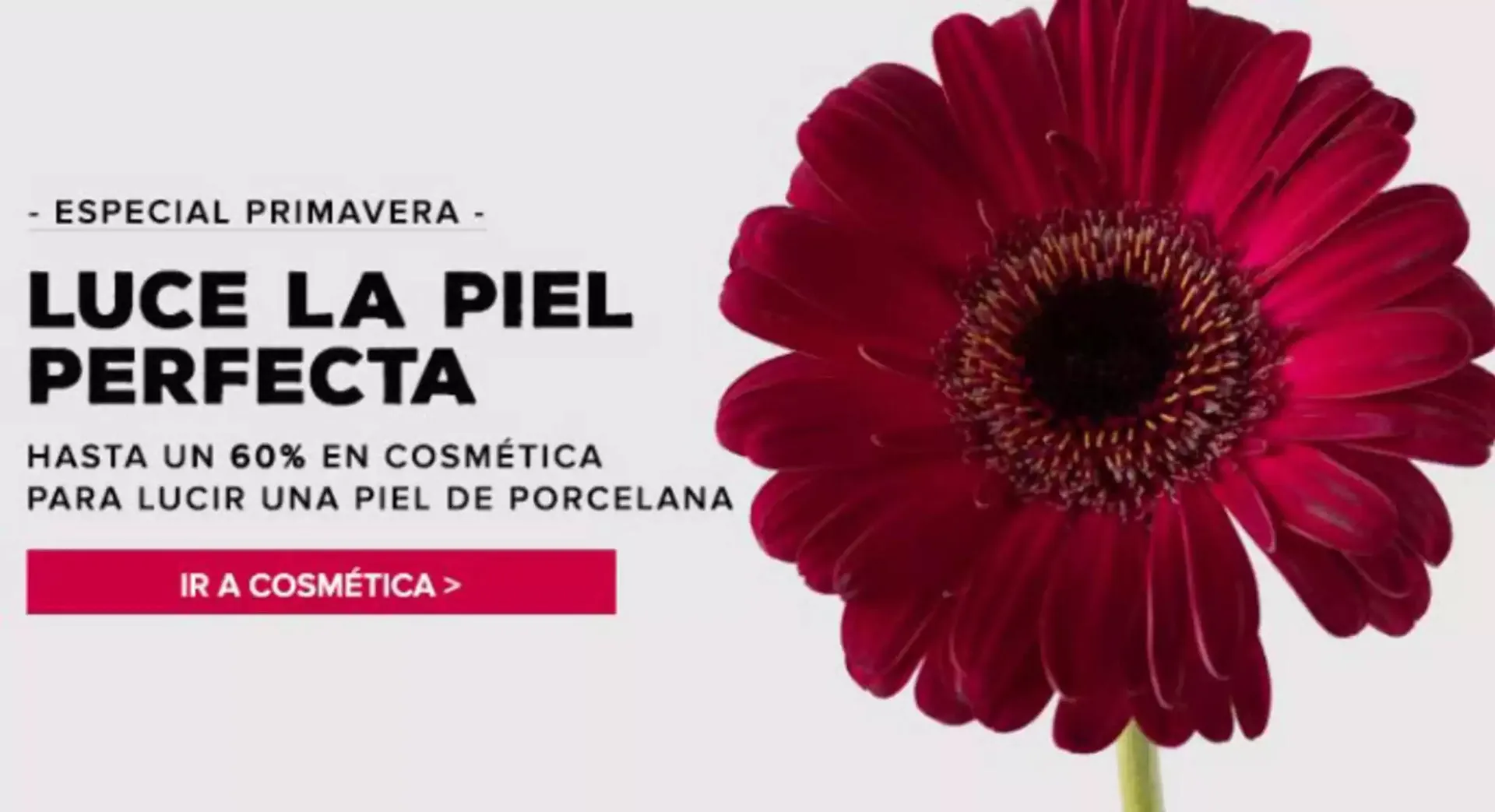 Catálogo de Folleto Perfumería Prieto 20 de mayo al 2 de junio 2025 - Página 2