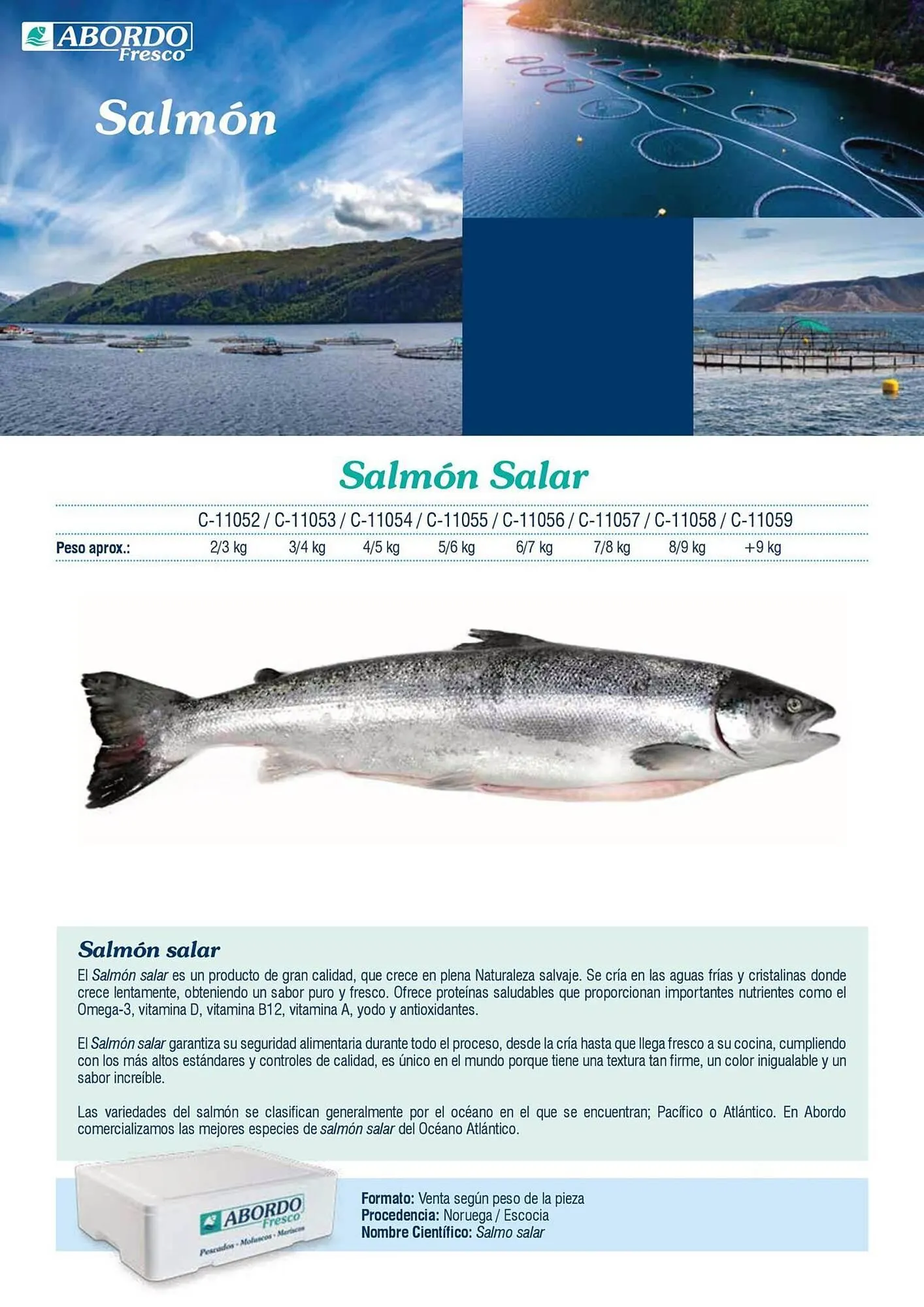 Catálogo de Folleto Abordo 5 de marzo al 30 de junio 2026 - Página 8