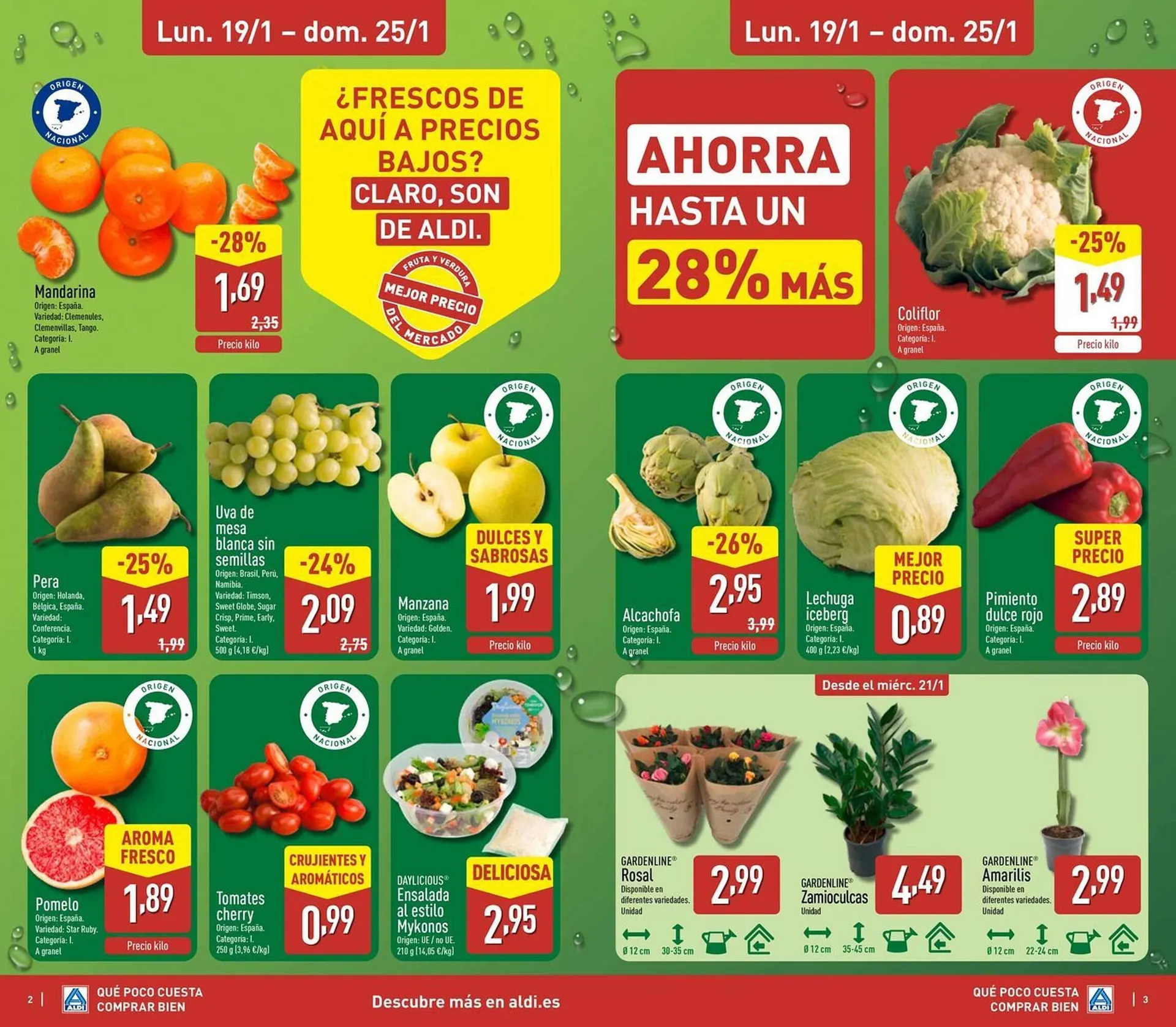 Catálogo de Folleto ALDI 19 de enero al 25 de enero 2026 - Página 2