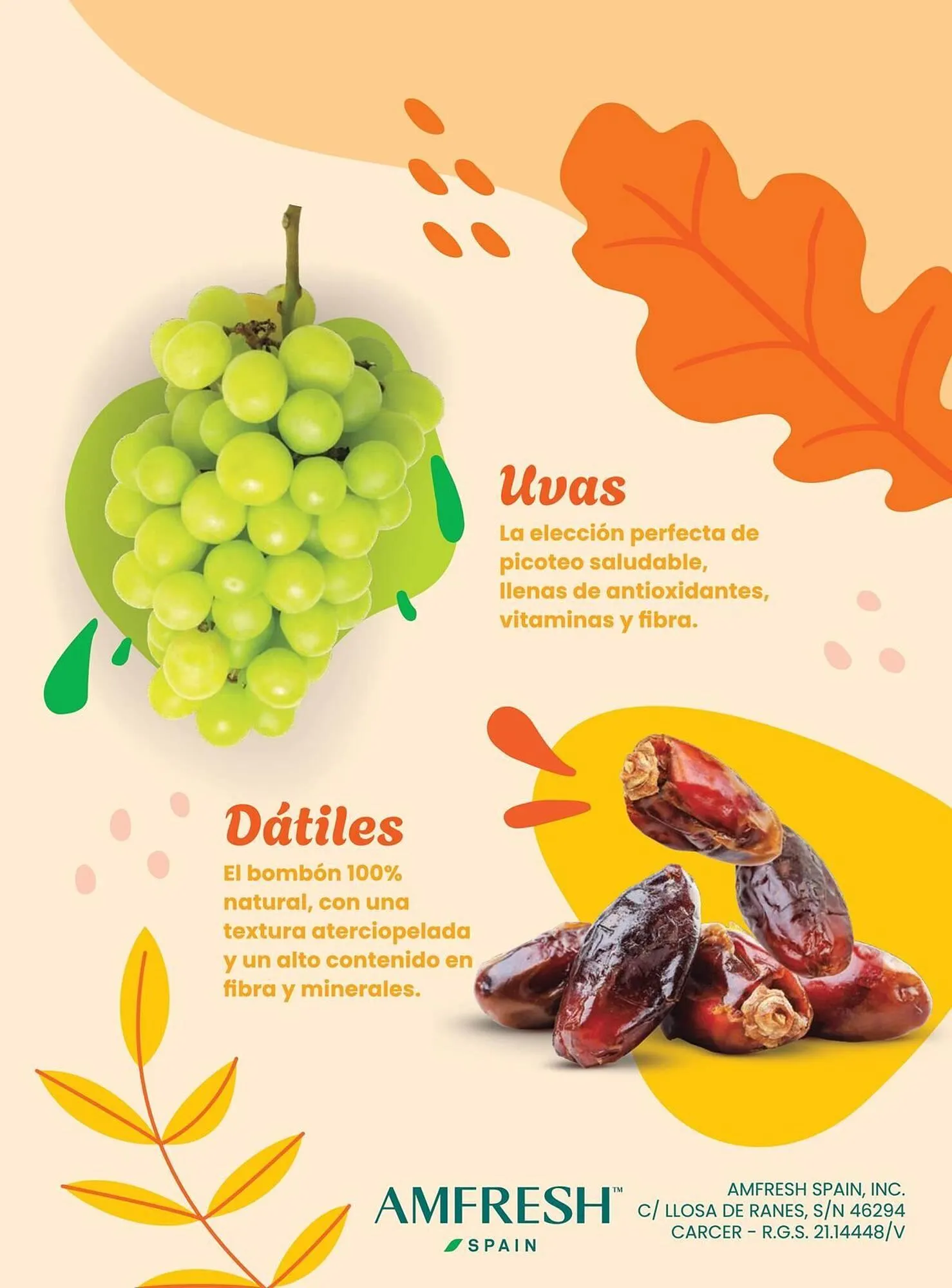 Catálogo de Catálogo Costco 6 de enero al 31 de marzo 2026 - Página 103