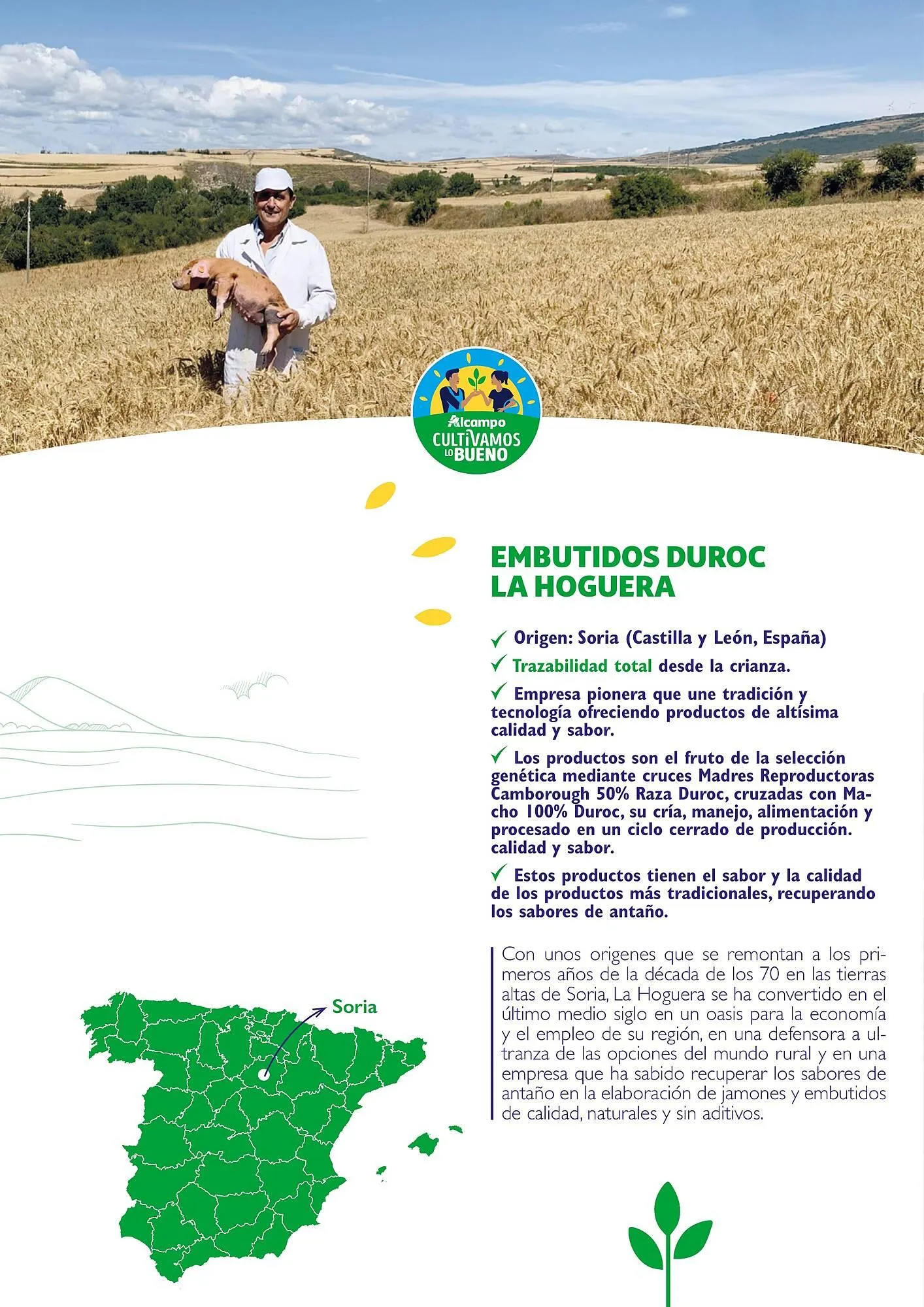 Catálogo de Folleto Alcampo 23 de abril al 31 de diciembre 2025 - Página 55