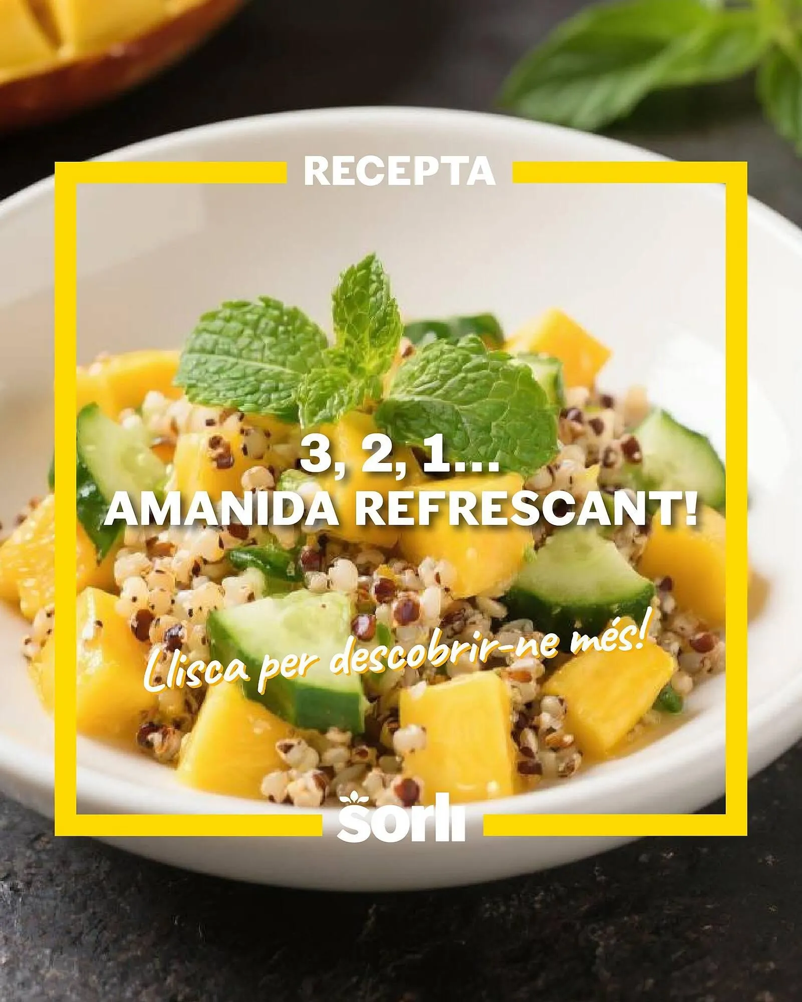 Catálogo de Folleto Sorli 28 de julio al 3 de agosto 2025 - Página 1