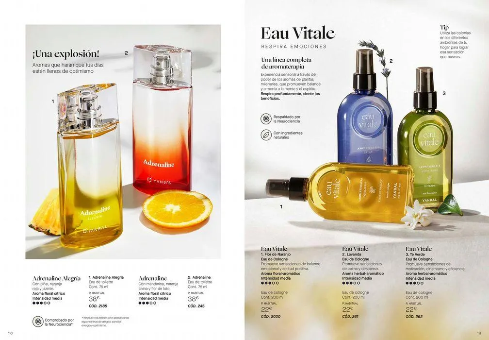 Catálogo de Expertos en el cuidado de la piel. 29 de agosto al 31 de diciembre 2024 - Página 56