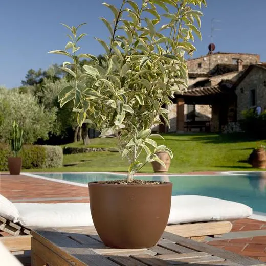 Jardinera Orione 40x40 cm