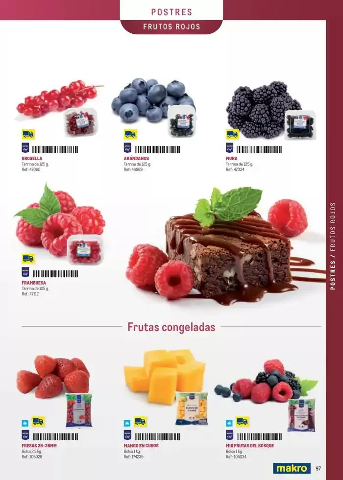 Catálogo de Especia Carta Prat 8 de abril al 31 de diciembre 2025 - Página 97