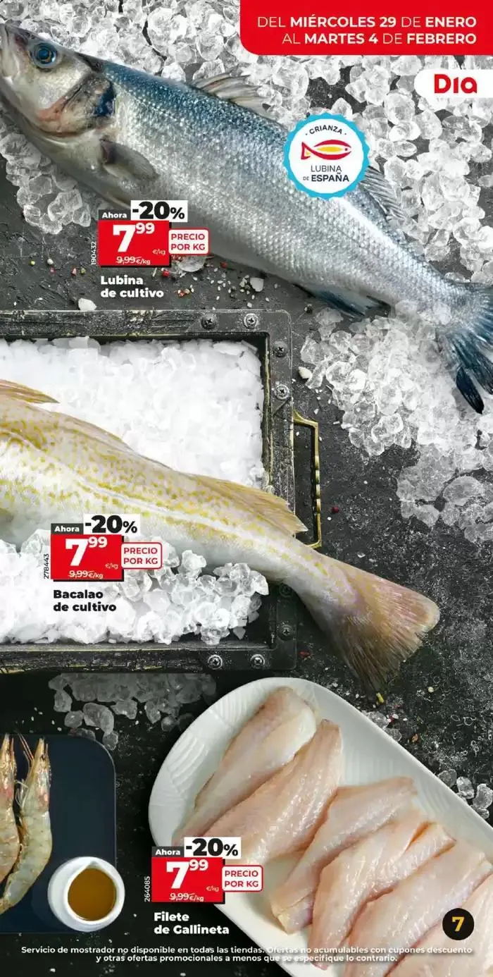 Catálogo de Nueva calidad Dia del 29/01 al 4/02 29 de enero al 4 de febrero 2025 - Página 7