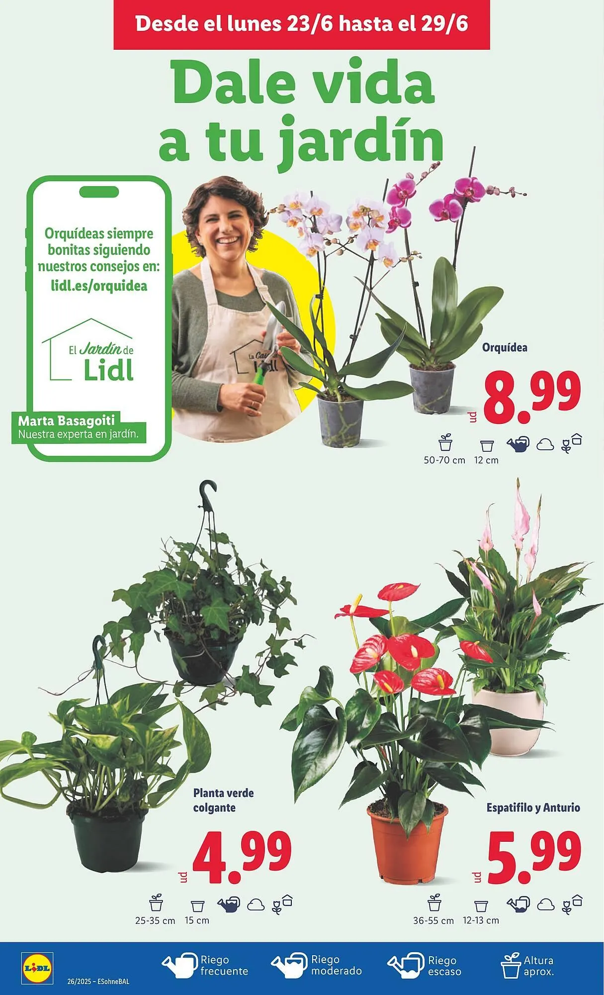 Catálogo de Folleto Lidl 23 de junio al 29 de junio 2025 - Página 18