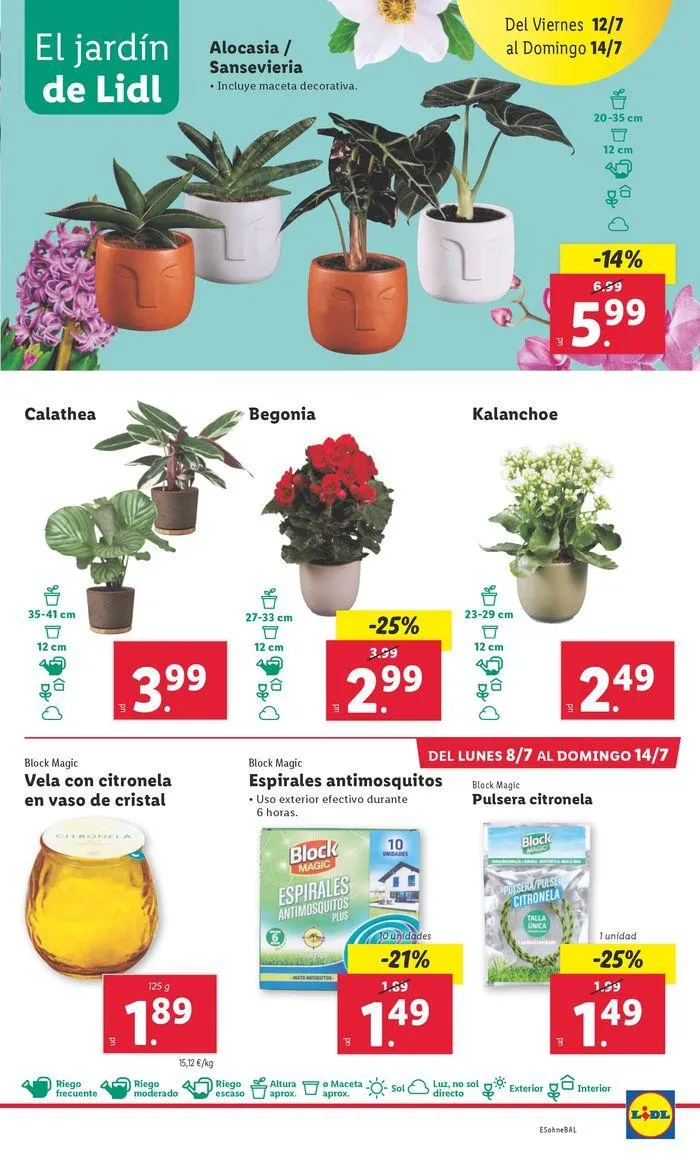 Catálogo de ¡Bazar Lidl! 8 de julio al 14 de julio 2024 - Página 41