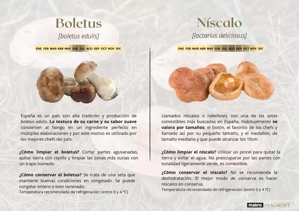 Catálogo de GUIA DE TRUFAS Y SETAS MAKRO - MAKRO 31 de diciembre al 14 de enero 2025 - Página 7