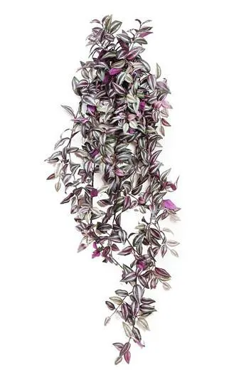 Planta colgante artificial tradescancia