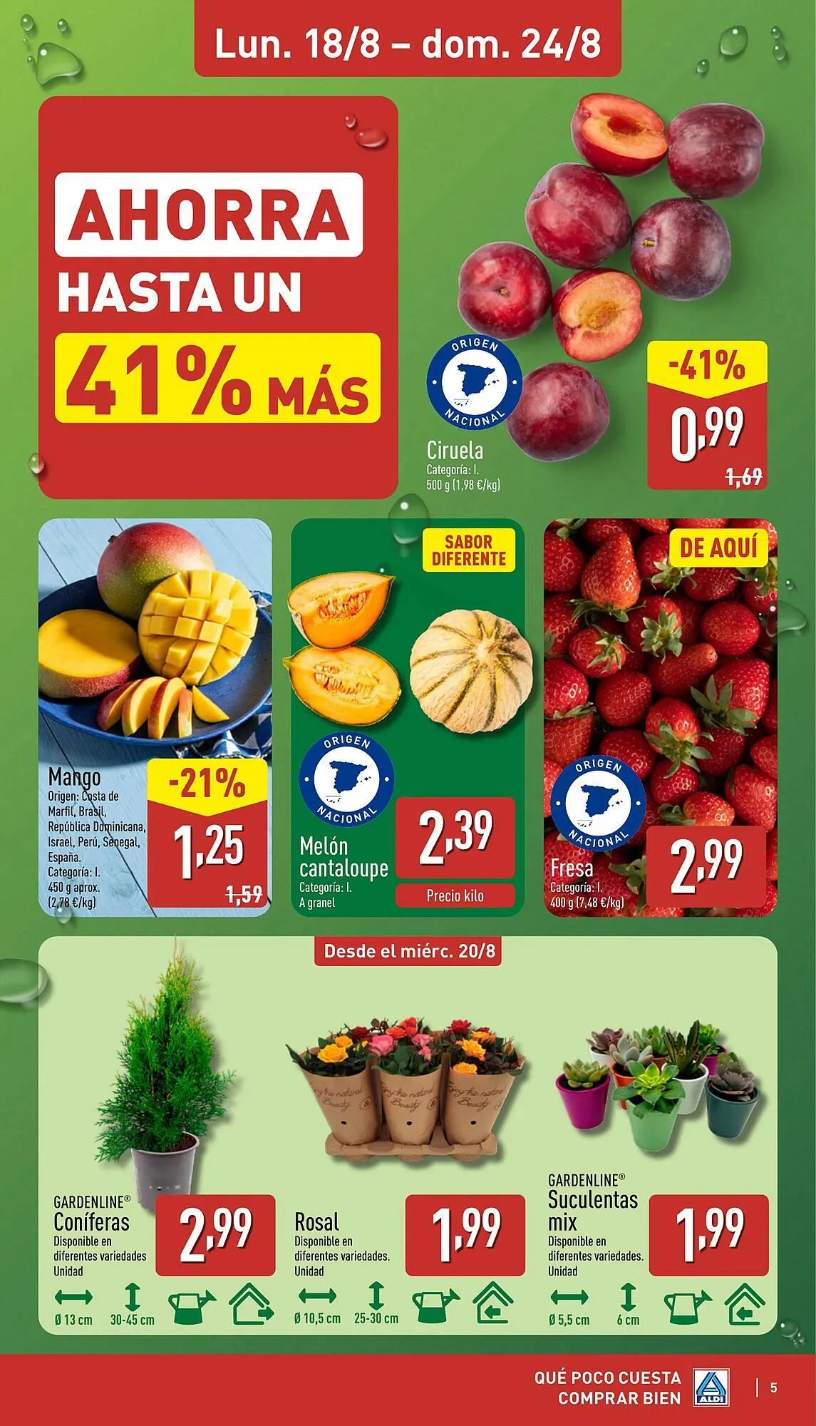 Catálogo de Folleto ALDI 18 de agosto al 24 de agosto 2025 - Página 5