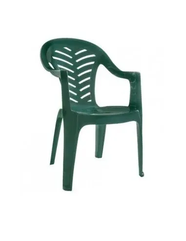 Sillon Palma Verde Resina Resol
