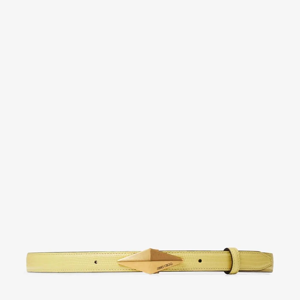 Diamond Clasp Belt