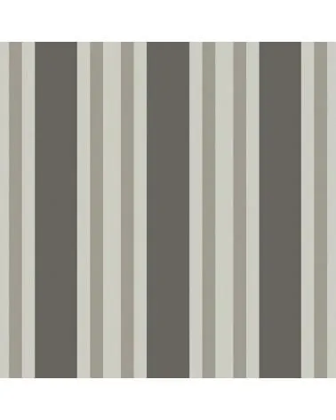 110-1001 POLO STRIPE