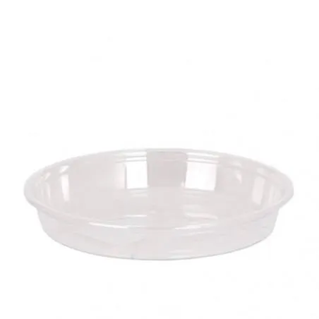 PLATO MACETA TRANSPARENTE