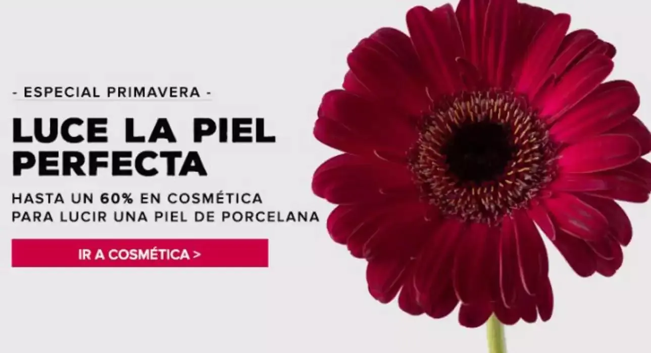 Catálogo de Especial primavera 20 de mayo al 2 de junio 2025 - Página 2