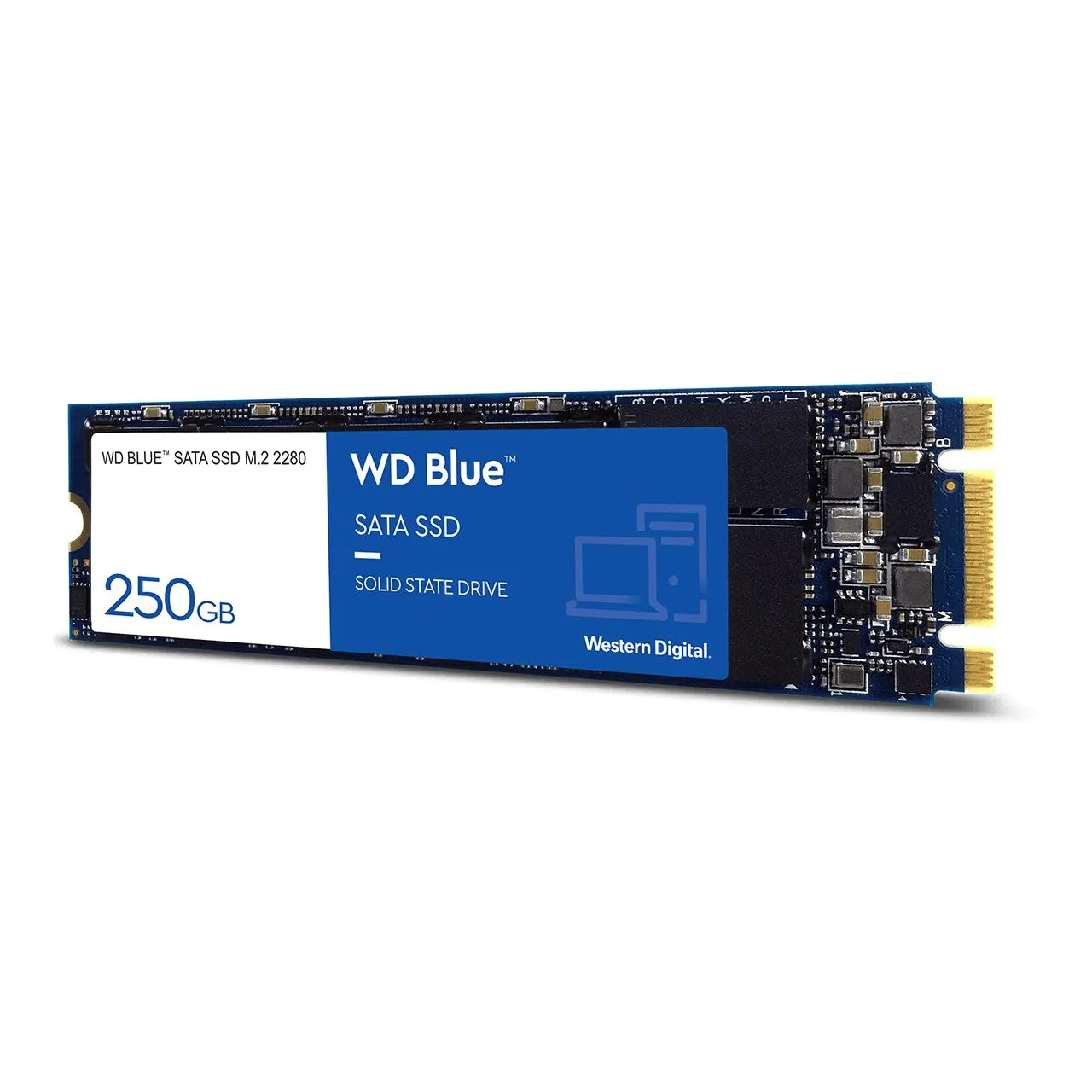 WD Blue™ SATA SSD M.2 2280 de Western Digital