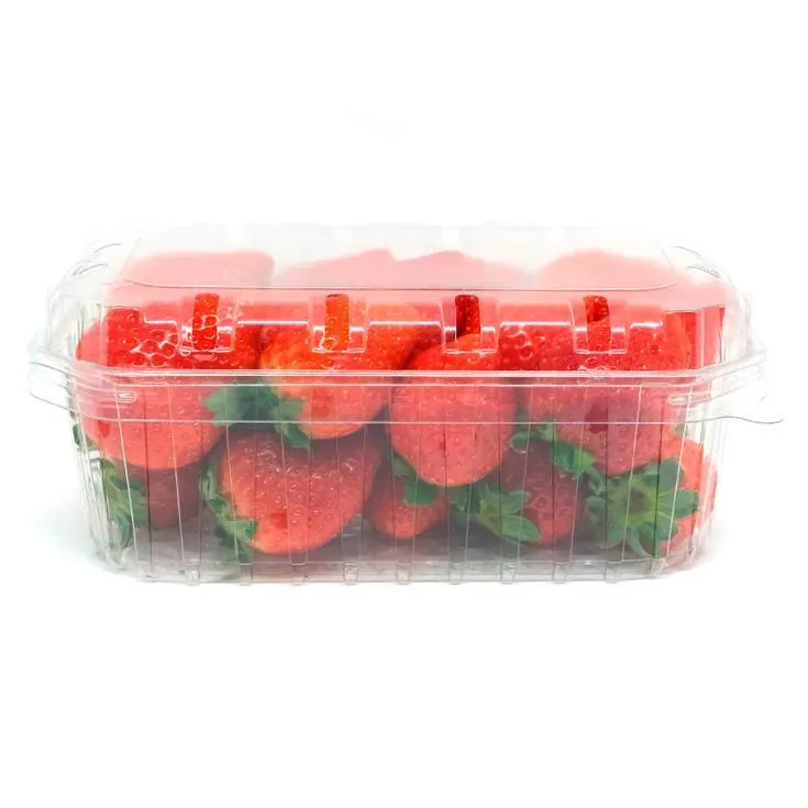 FRESON TARRINA 500G PLAZA