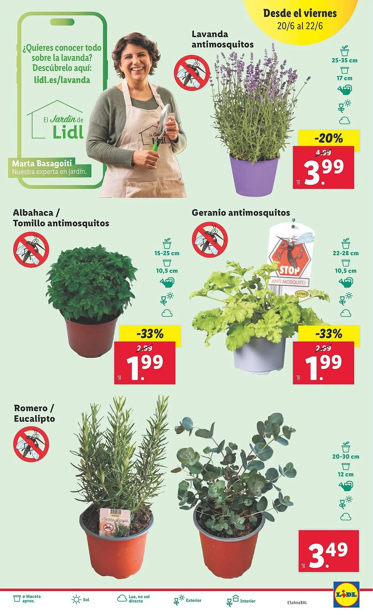 Catálogo de Folleto Lidl 16 de junio al 22 de junio 2025 - Página 29