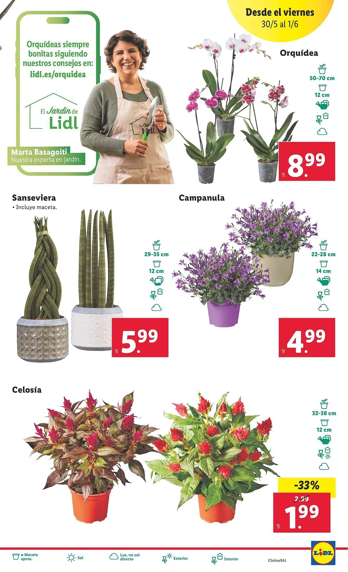 Catálogo de Folleto Lidl 26 de mayo al 1 de junio 2025 - Página 15