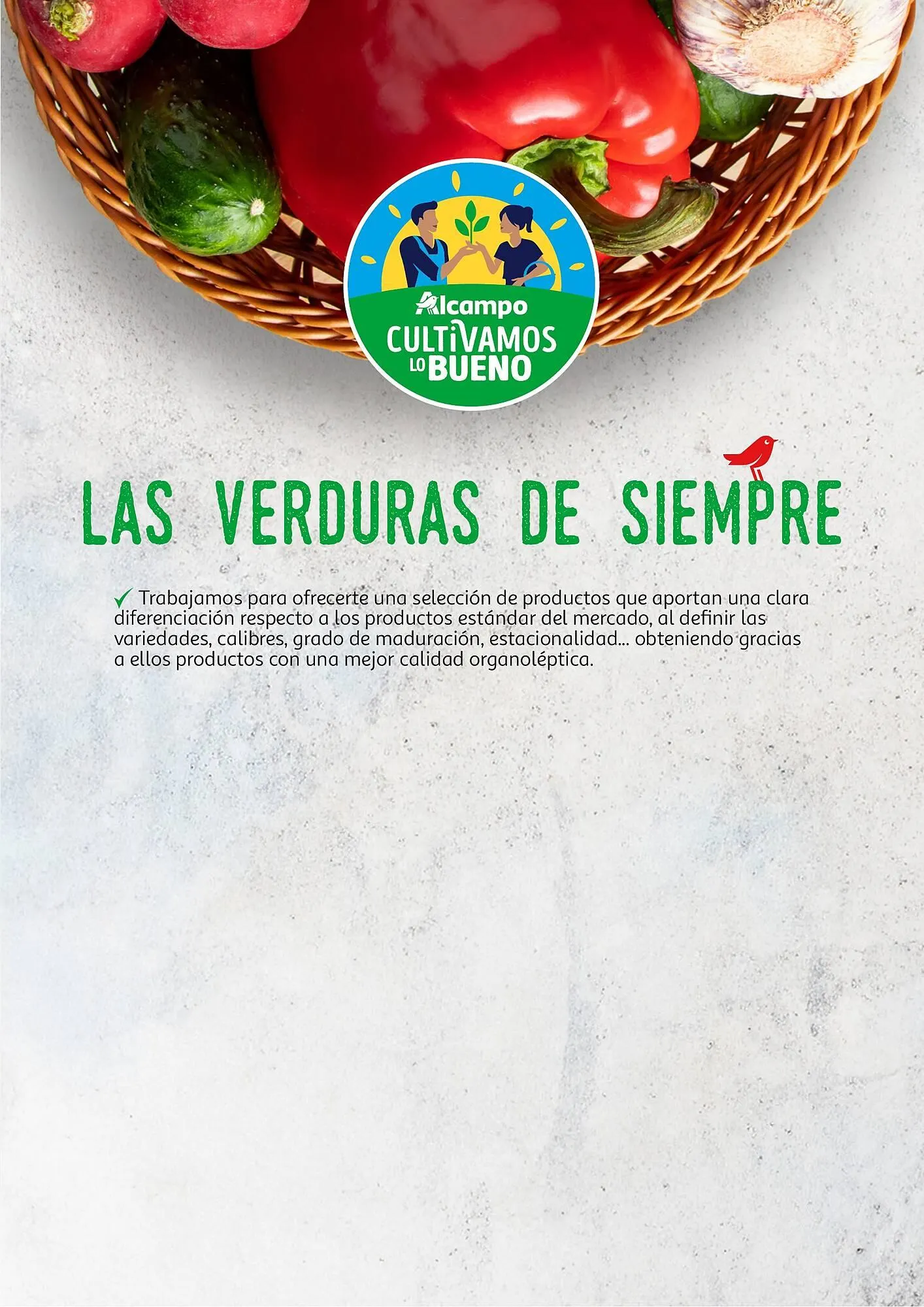 Catálogo de Folleto Alcampo 23 de abril al 31 de diciembre 2025 - Página 37