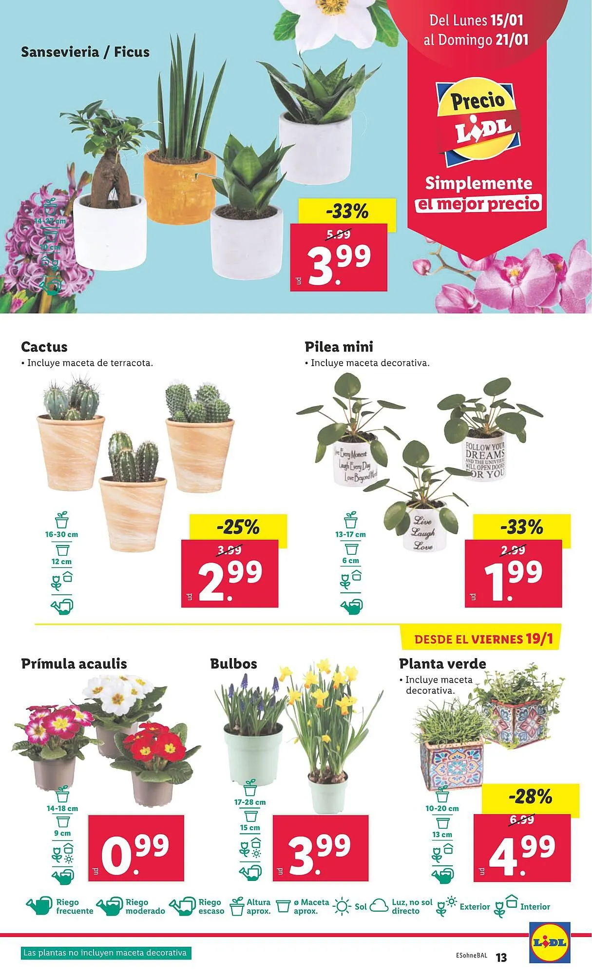 Catálogo de Folleto Lidl 15 de enero al 21 de enero 2024 - Página 33