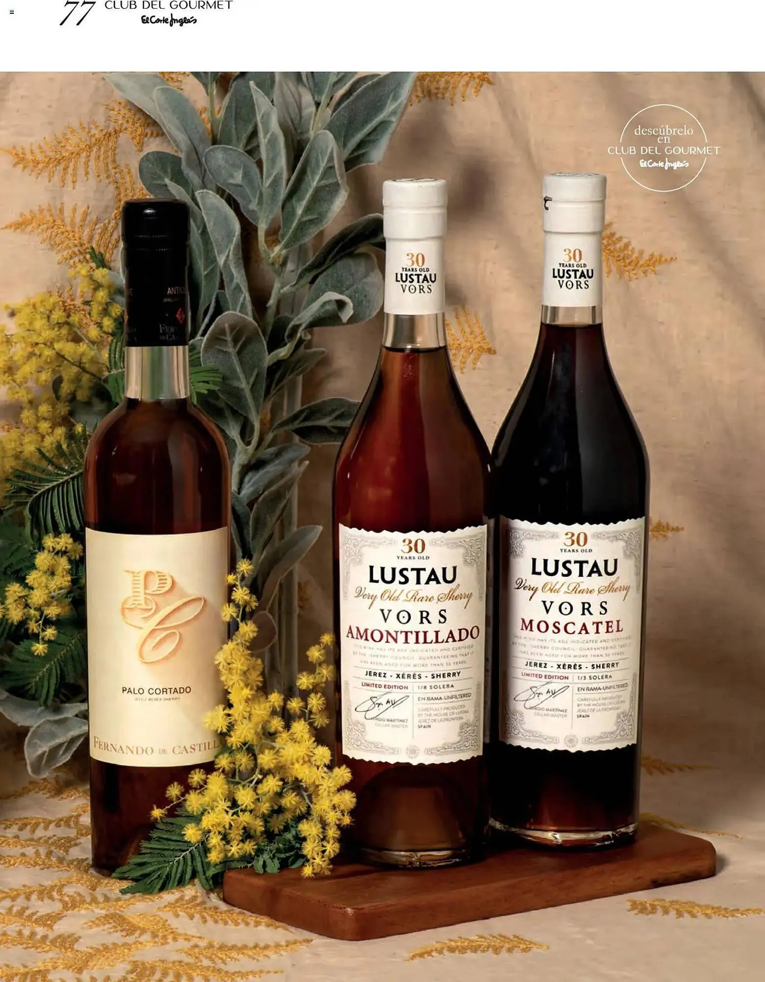 Catálogo de Catálogo El Corte Inglés 1 de abril al 30 de junio 2026 - Página 77