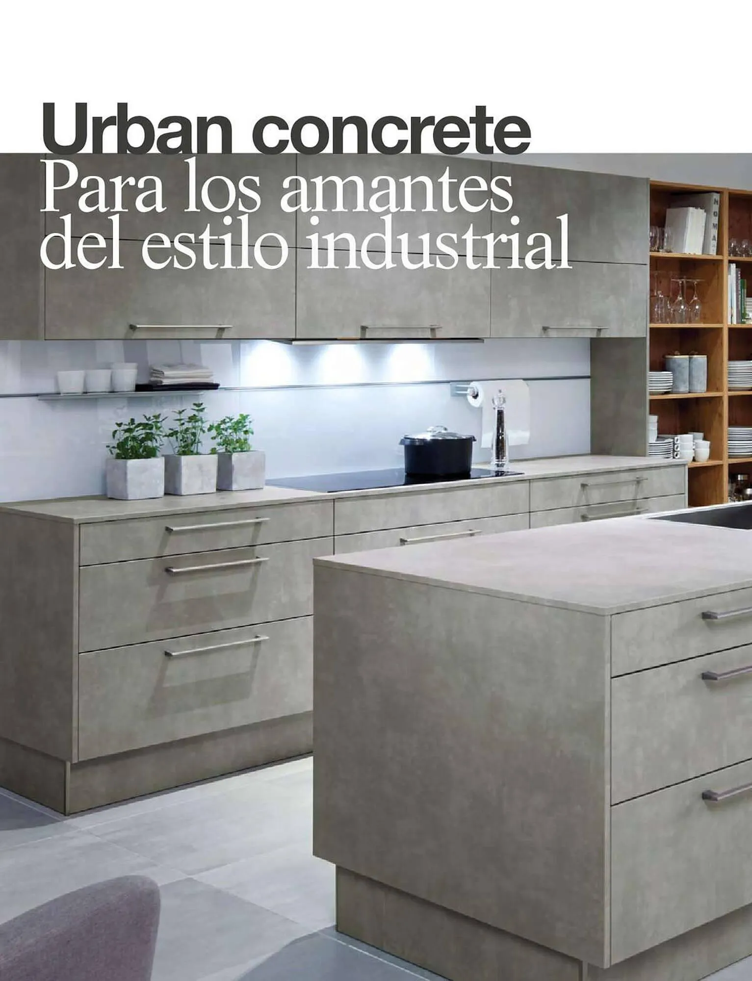 Catálogo de Folleto Roca 5 de enero al 1 de enero 2024 - Página 13